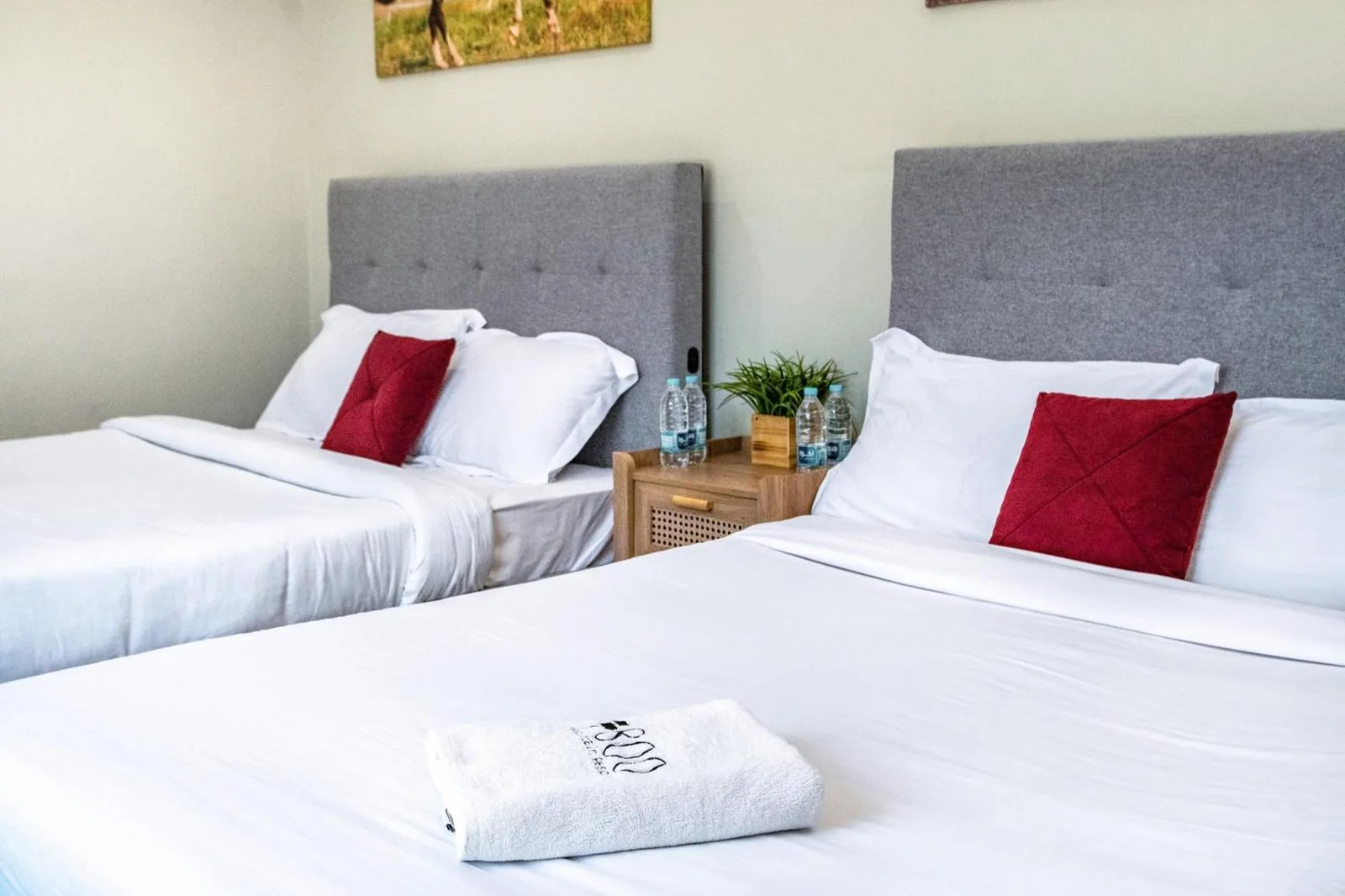 Cozy double bedroom in the hotel in Fujairah