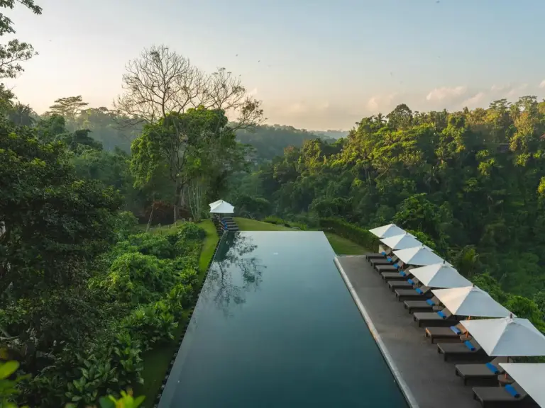 Infinity Pool