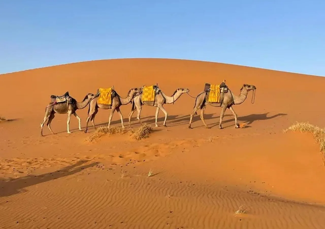 Amazing Desert Luxury Camp, in Merzouga