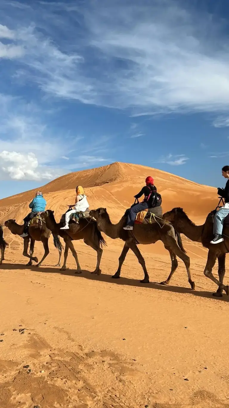 Caravane de chameaux dans le désert près de Auberge Camping La Libertè à Merzouga avec des voyageurs traversant les dunes de sable