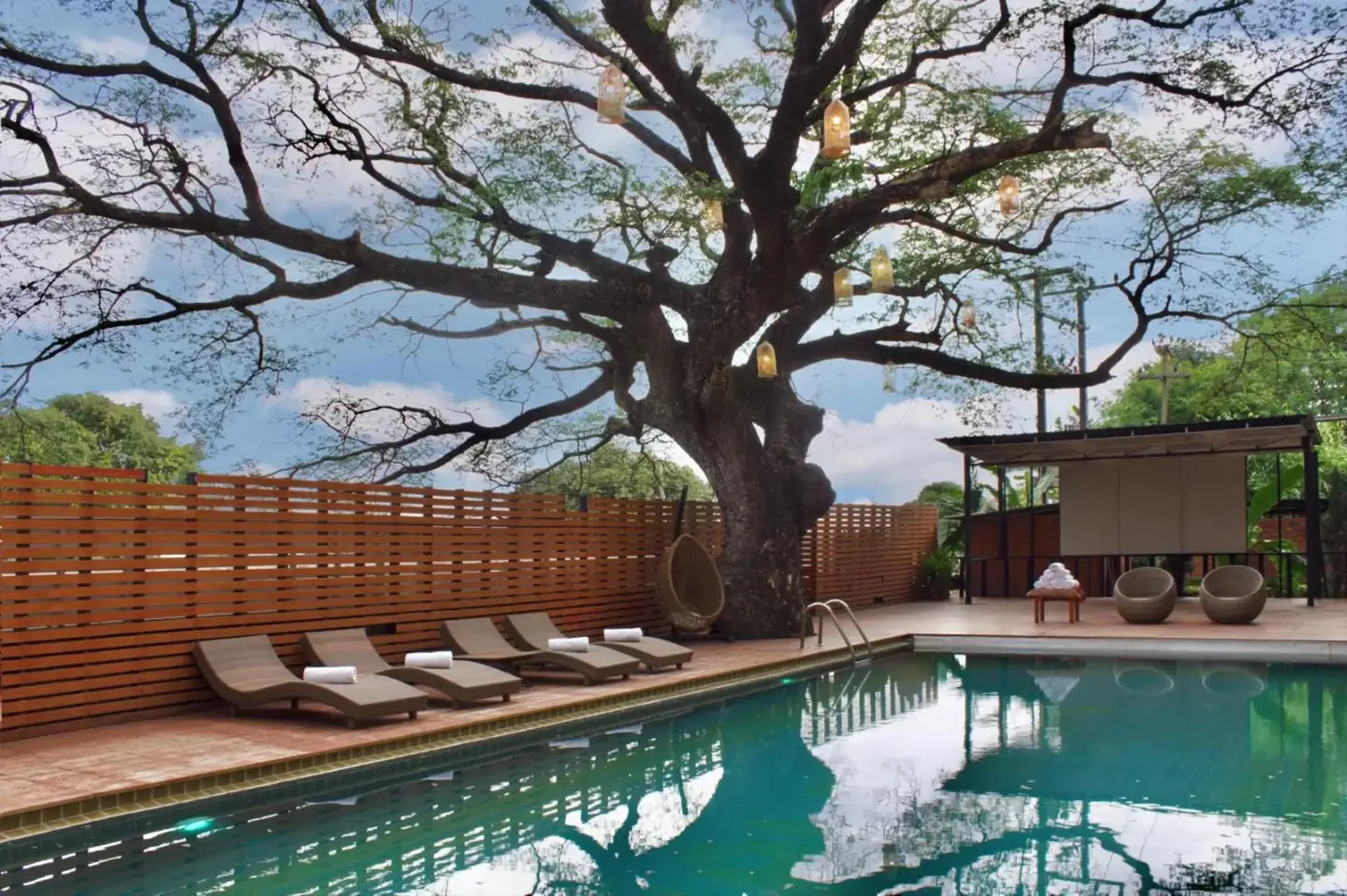 Bamboori Boutique Resort Chiang Mai outdoor swimming pool with sun loungers beneath a large tree