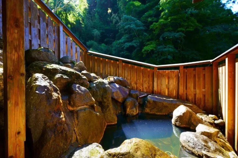 Onsen al aire libre en el hotel Beppu Showaen en Beppu