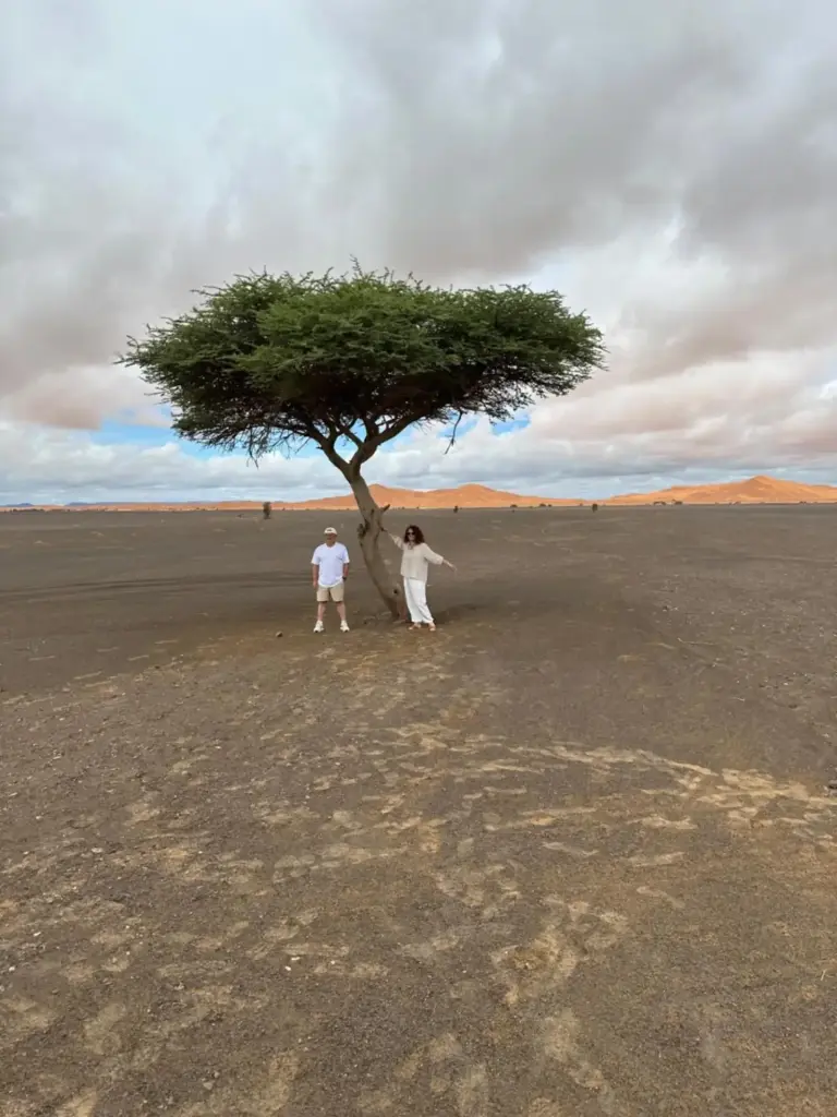 Un arbre solitaire dans le paysage désertique près de Berber Spirit Luxury Camp à Merzouga avec deux clients posant dessous.