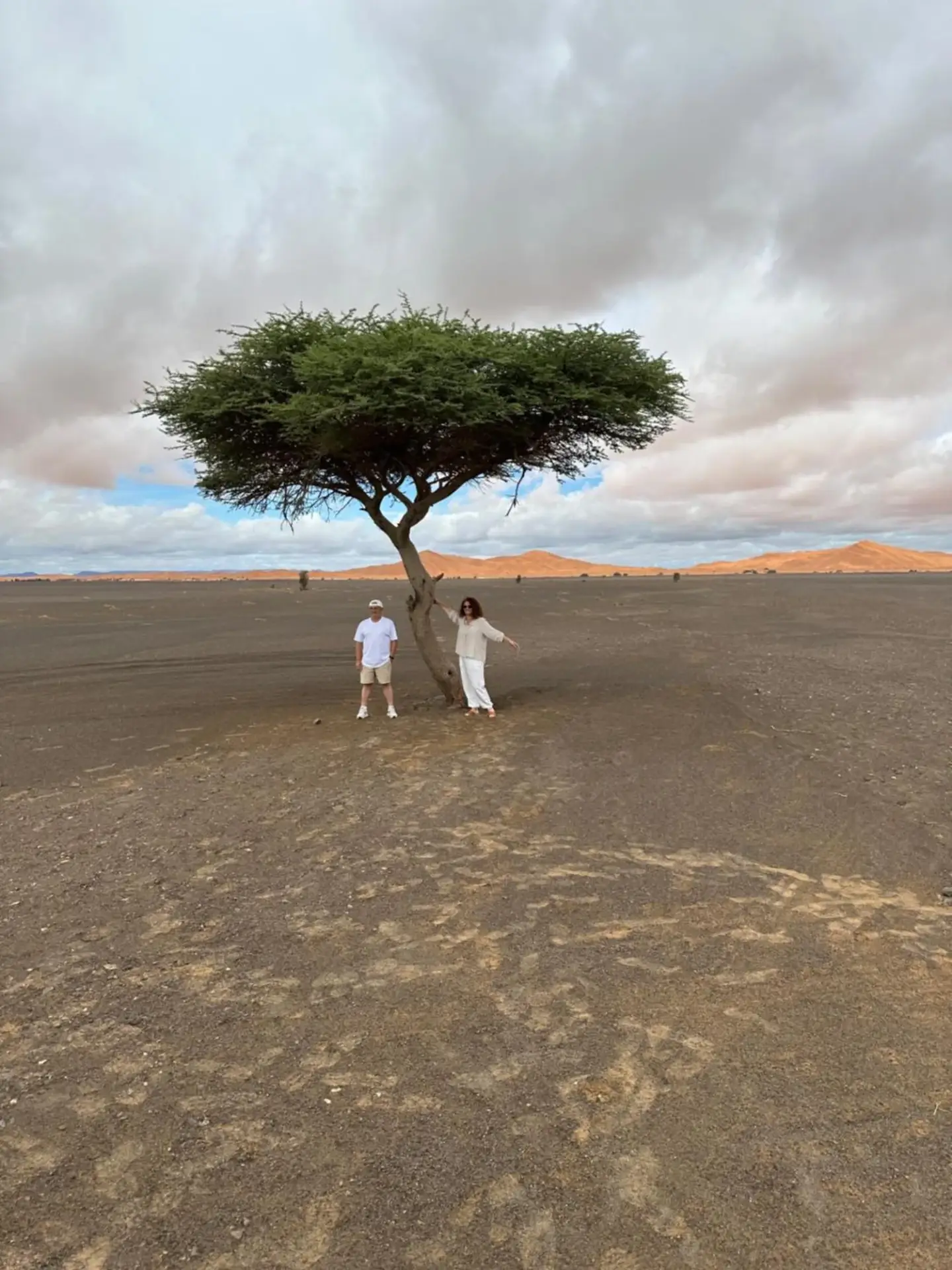 Un arbre solitaire dans le paysage désertique près de Berber Spirit Luxury Camp à Merzouga avec deux clients posant dessous.
