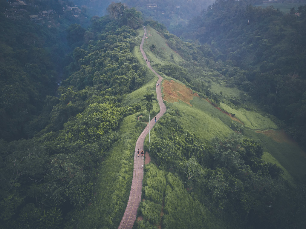Campuhan Ridge Walk in Ubud