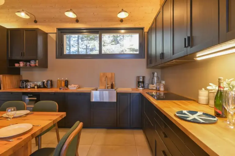 Chalet avec Piscine La Plagne detalles de la cocina y electrodomésticos