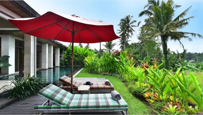 Transats au Chapung Sebali Resort avec vue sur le jardin