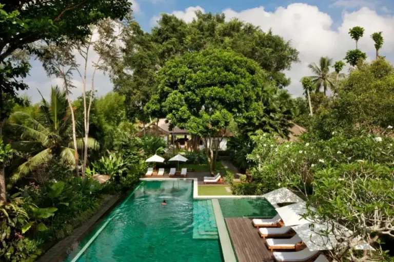 Zone de la piscine de l'hôtel Como Uma Ubud entourée d'une végétation luxuriante