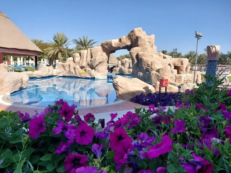 Piscine lagon bordée de rochers au Danat Al Ain Resort à Al Ain avec des fleurs violettes au premier plan.