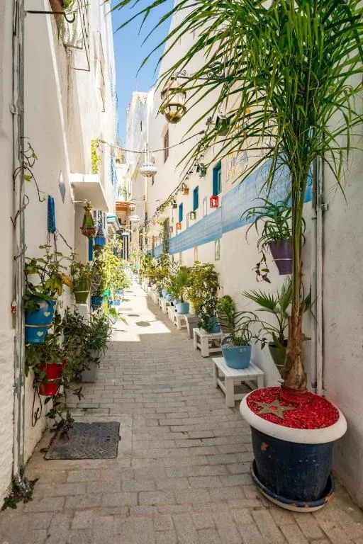 Charming alley in DAR YAMNA Maison typique Kasbah de Tanger