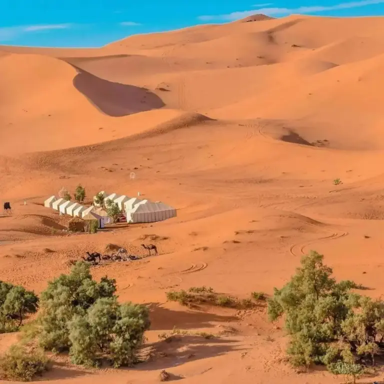 Luxury Camp Desert Lover dans les dunes
