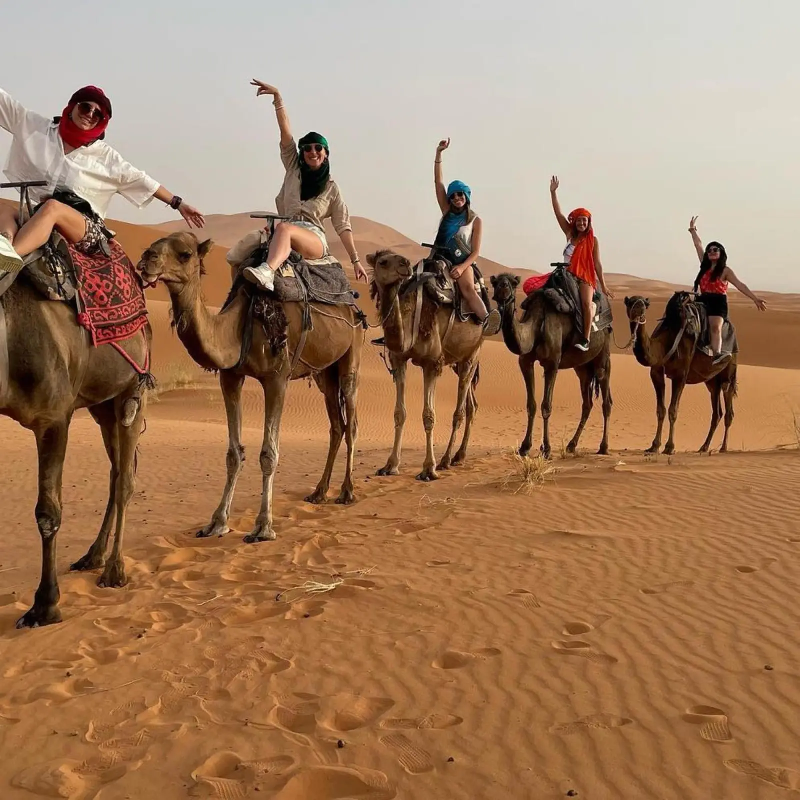 Expérience de balade à dos de chameau au Desert Lover's Luxury Camp