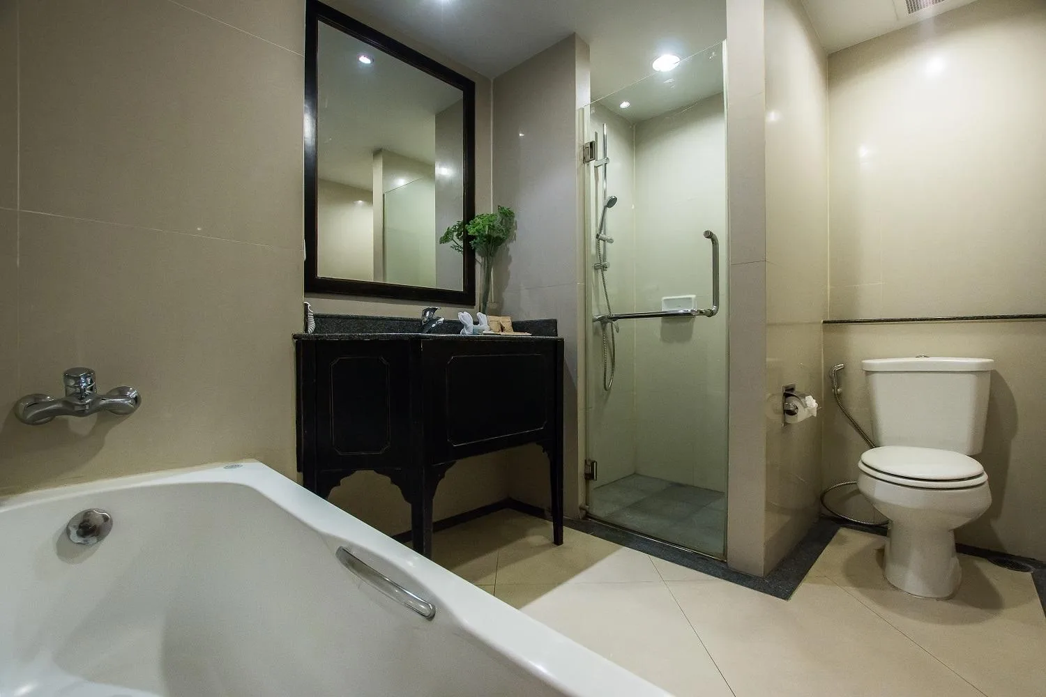 Bathroom Detail