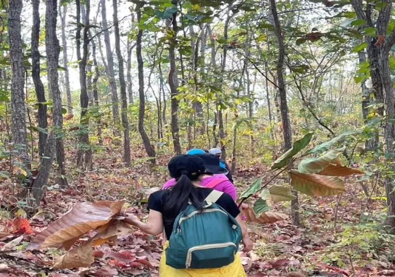 Visitors hiking in nature near Pattaya