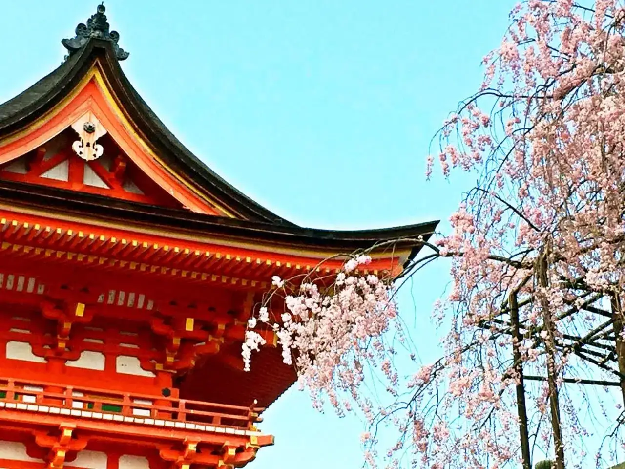 La villa EnSe Kiyomizu Villa met en valeur un temple traditionnel avec des cerisiers en fleurs à Kyoto.