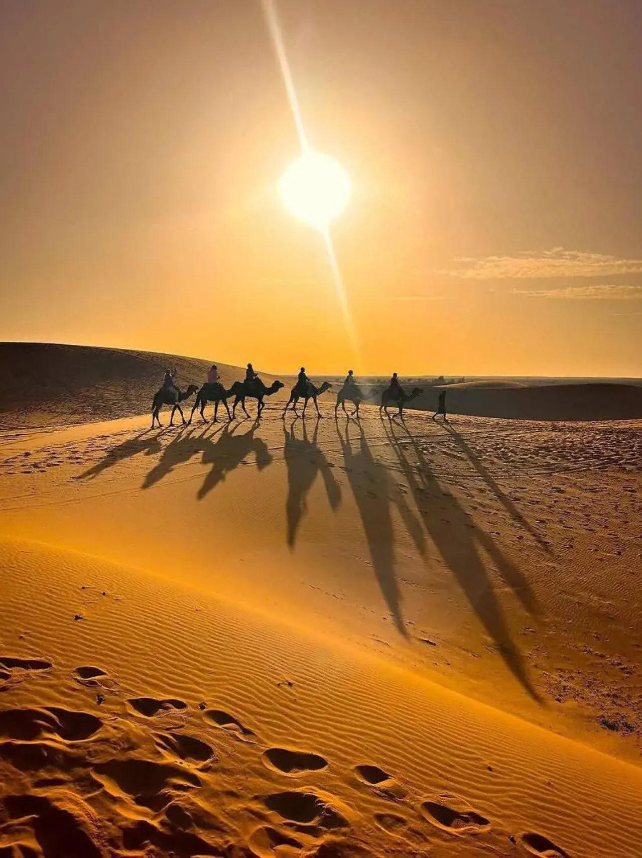 Silhouette einer Wüstenkarawane nahe Erg Luxury Camp Merzouga in Merzouga unter der Abendsonne