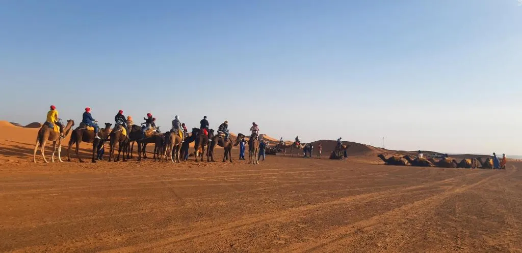 Erg Merzouga Desert Camp in Merzouga with a camel caravan