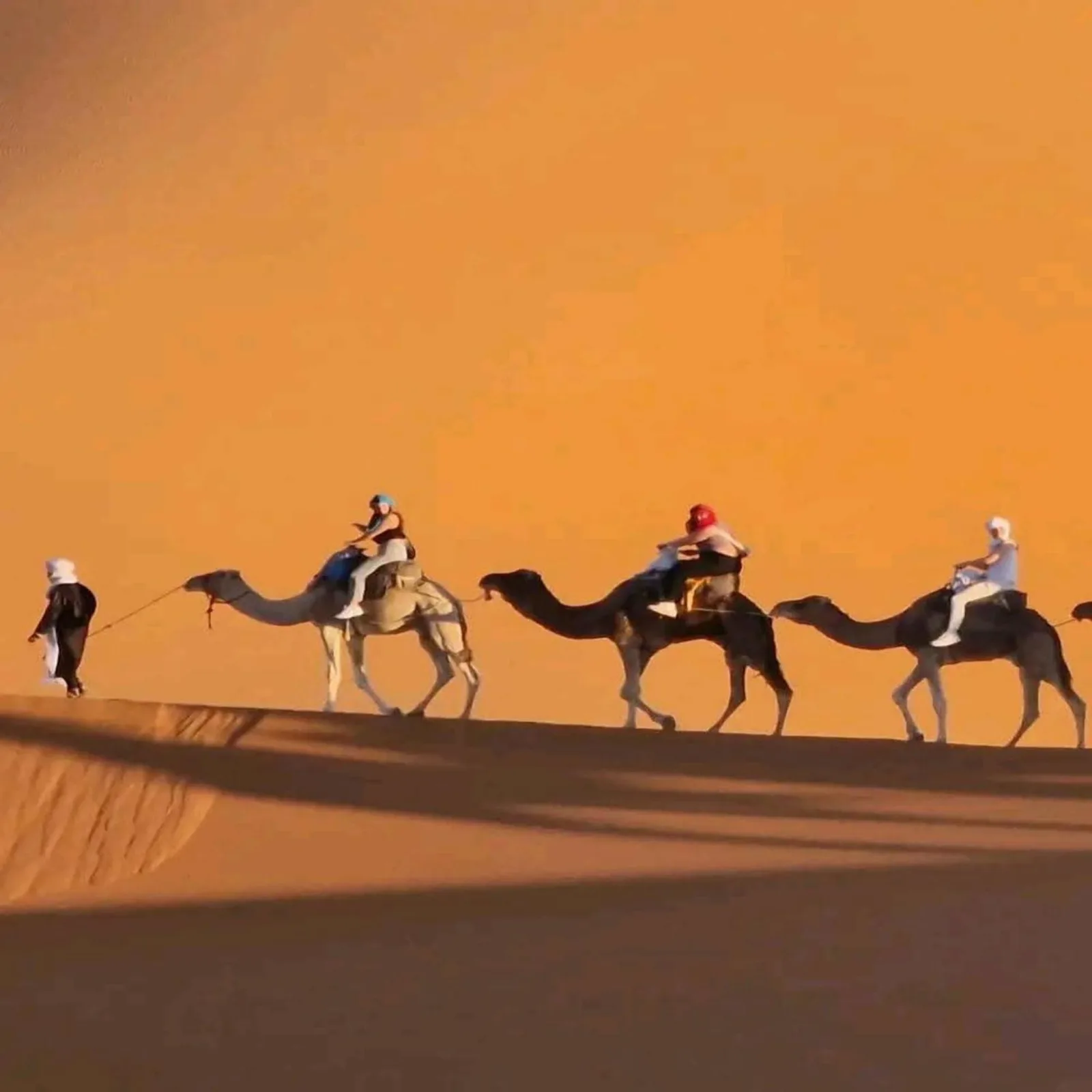 Camel caravan journey at Erg Serenity Camp