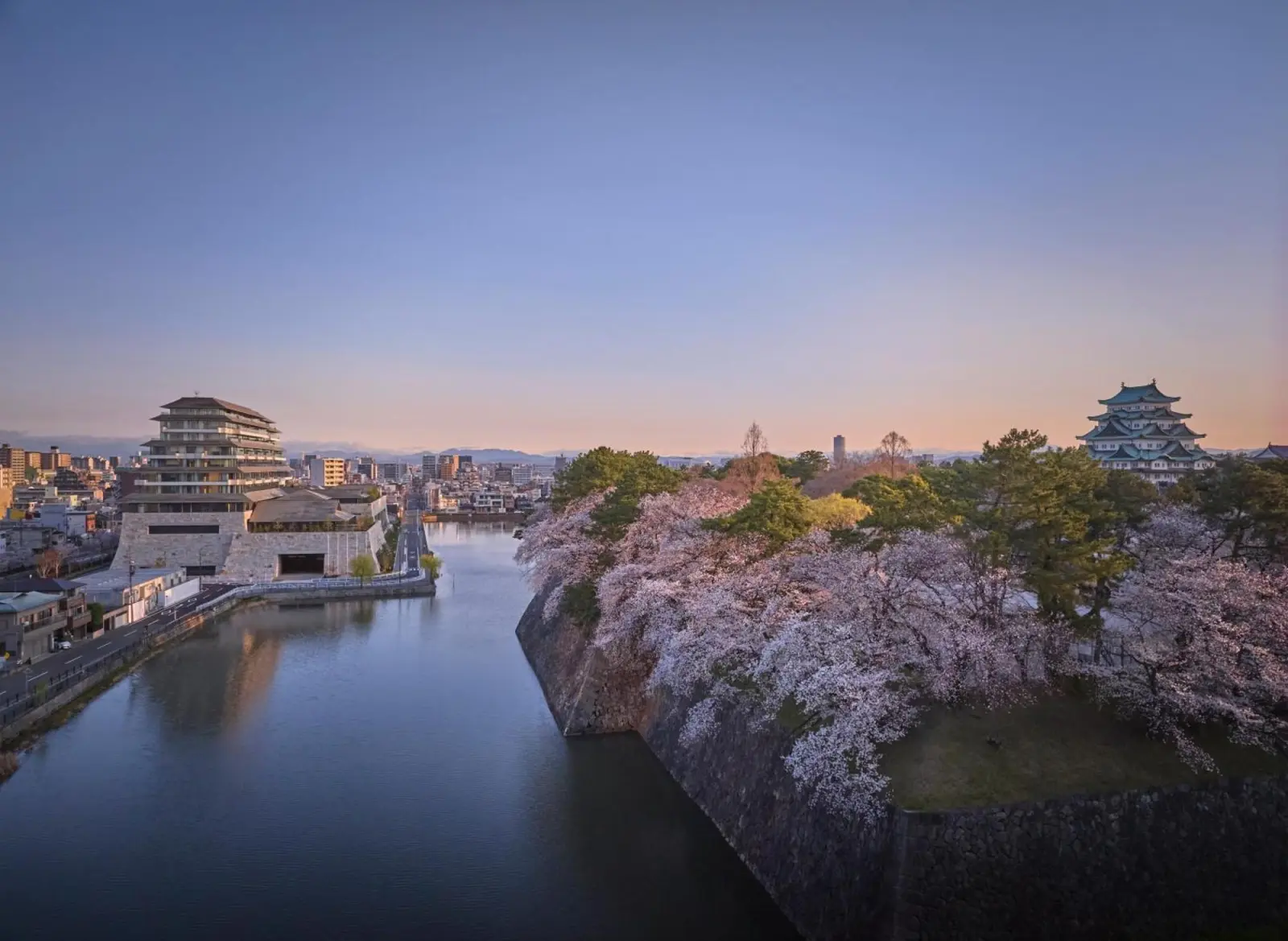 Vue des cerisiers depuis l'Espacio Nagoya Castle