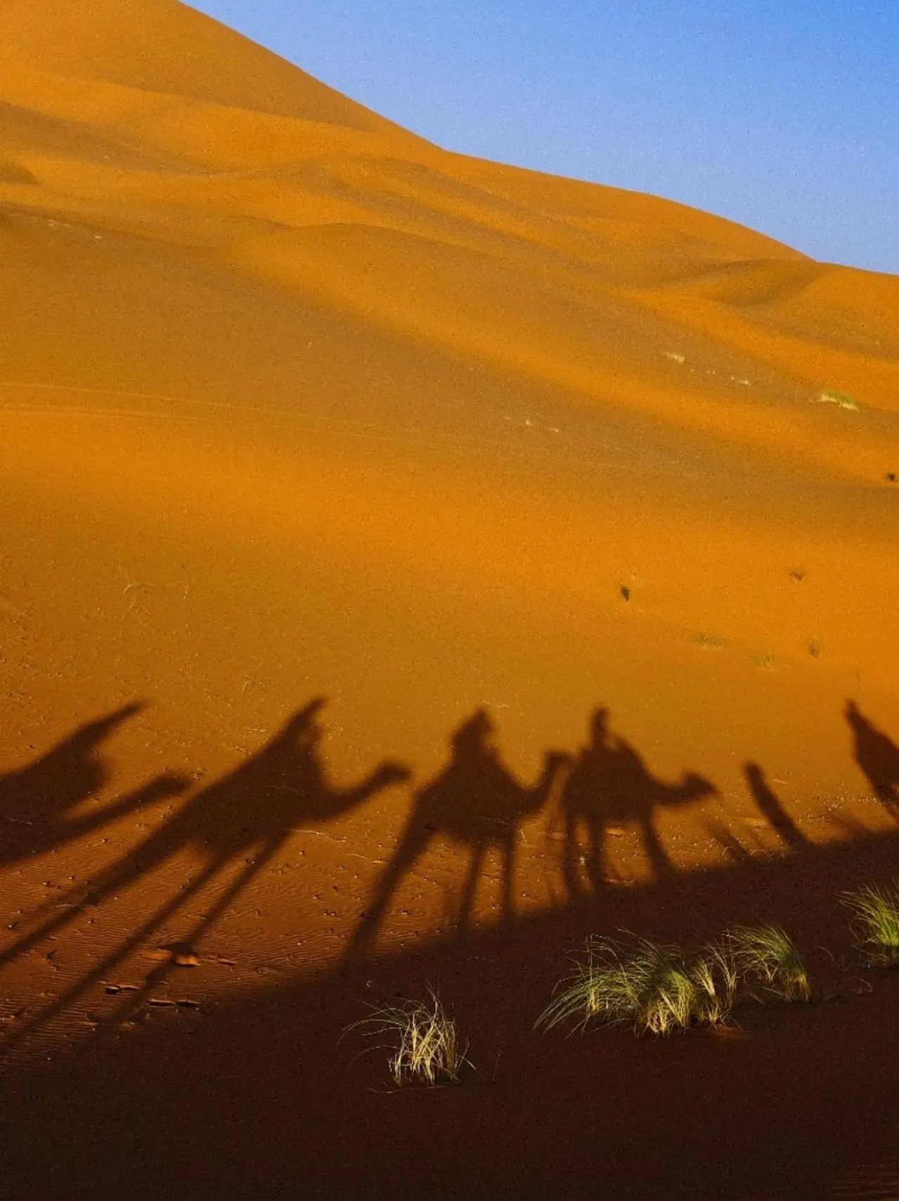 Family Dunes Camp – hôtel à Merzouga, Maroc – un groupe de personnes marchant sur une dune de sable au Family Dunes Camp à Merzouga