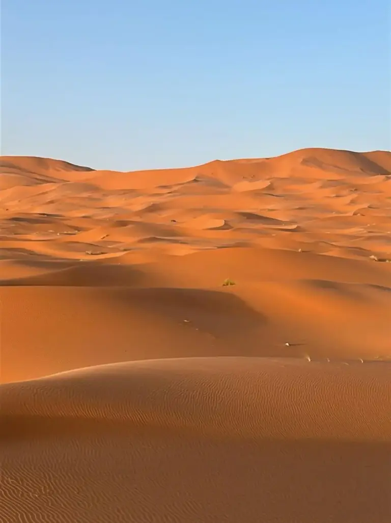 Dunes de sable doré près de Family Dunes Camp, Merzouga