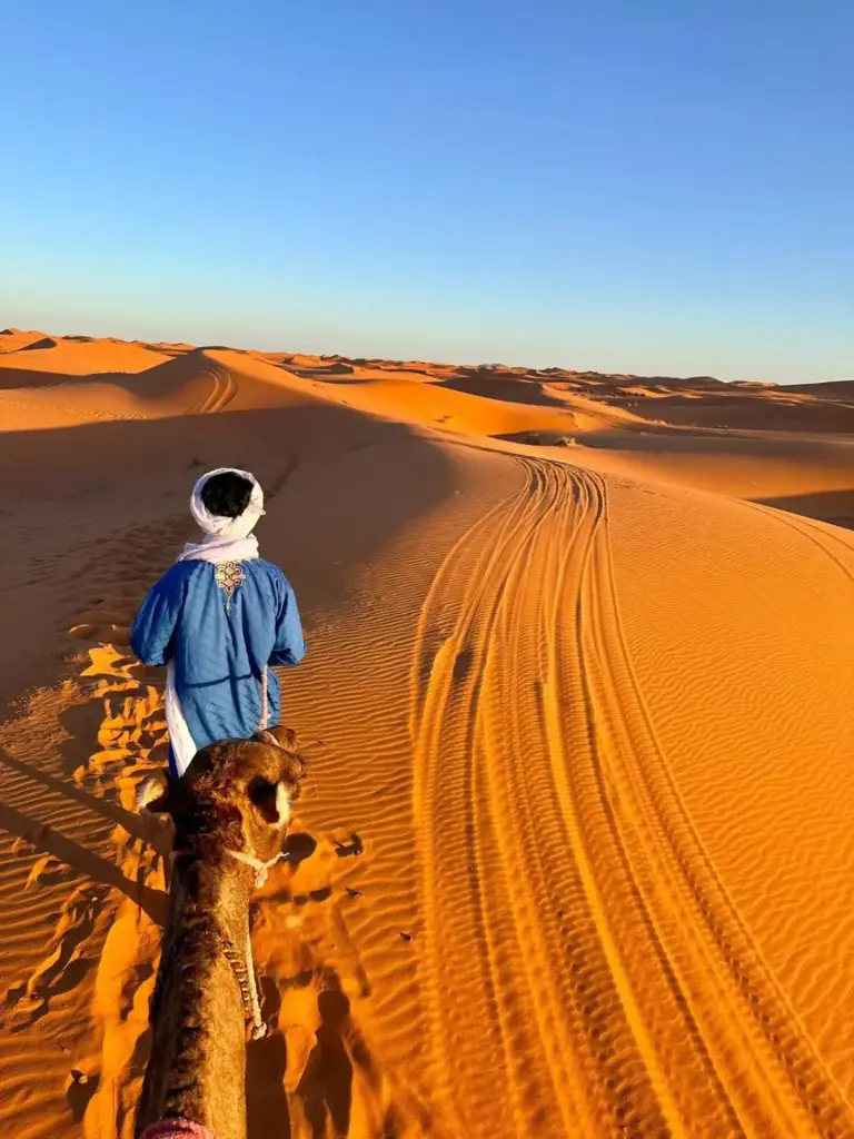 Fantastic Luxury Dunes Camp