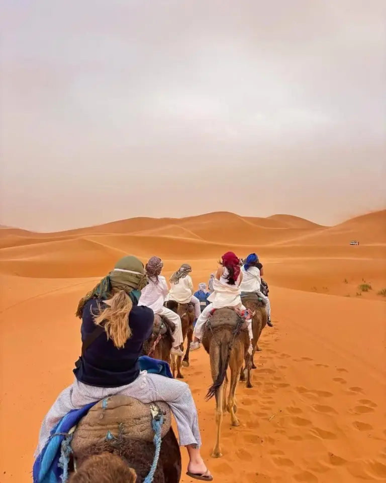 Caravane de chameaux dans le désert près de Glamping Under Stars à Merzouga, vue de dos alors que les voyageurs traversent les dunes.