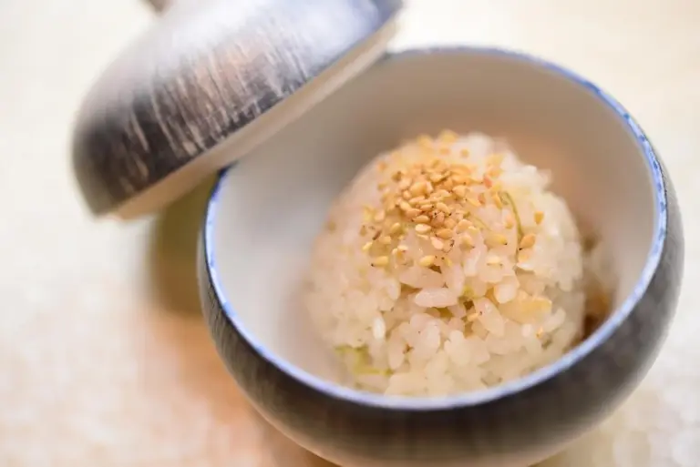 Cooked rice served at Hakone Gora Byakudan restaurant