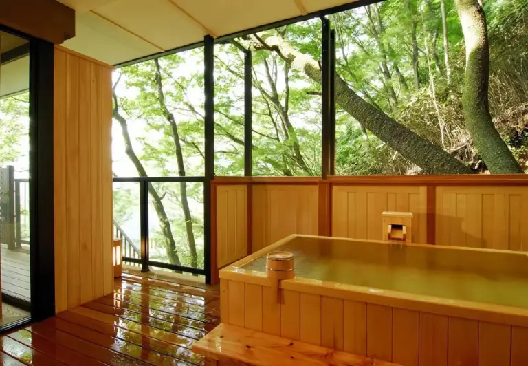 Zona de baño termal al aire libre en el hotel Hakone Tokinoshizuku