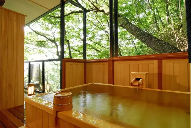 Baño termal al aire libre en el hotel Hakone Tokinoshizuku