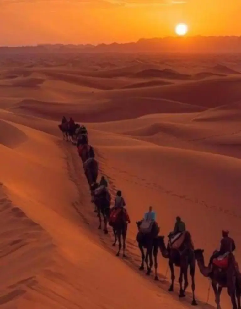 Camel caravan crossing the dunes near Hassan desert camp in Merzouga at sunset