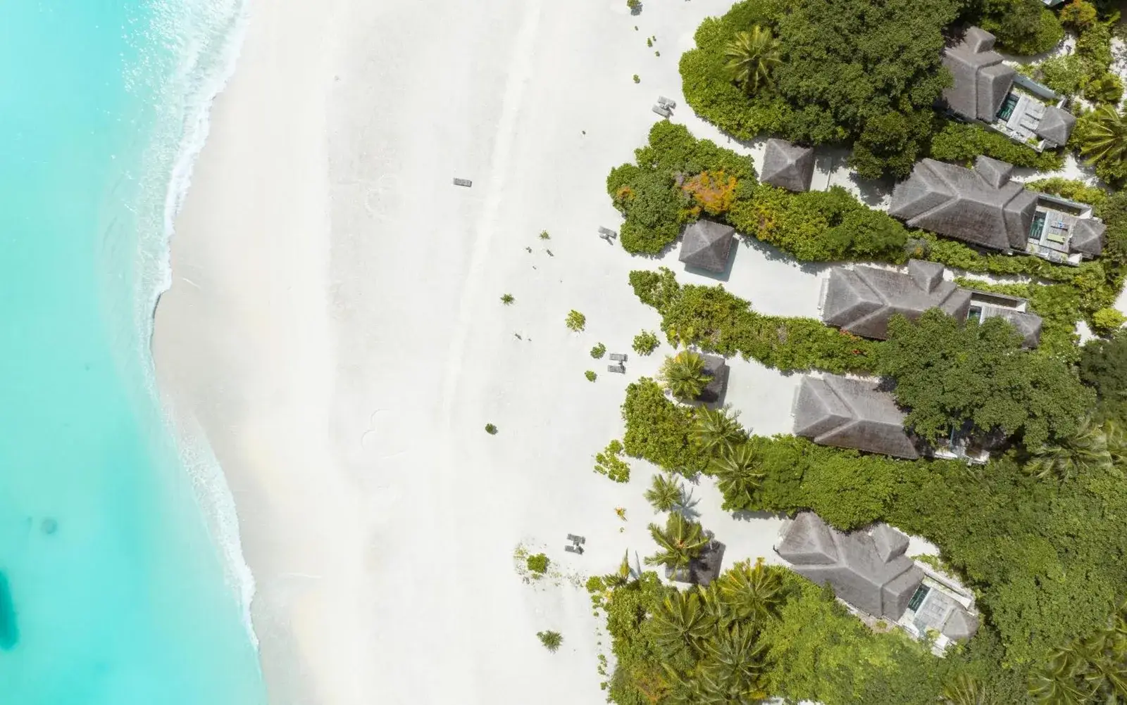 Luftaufnahme von Strand und Villen bei JA Manafaru, Die echten Malediven.