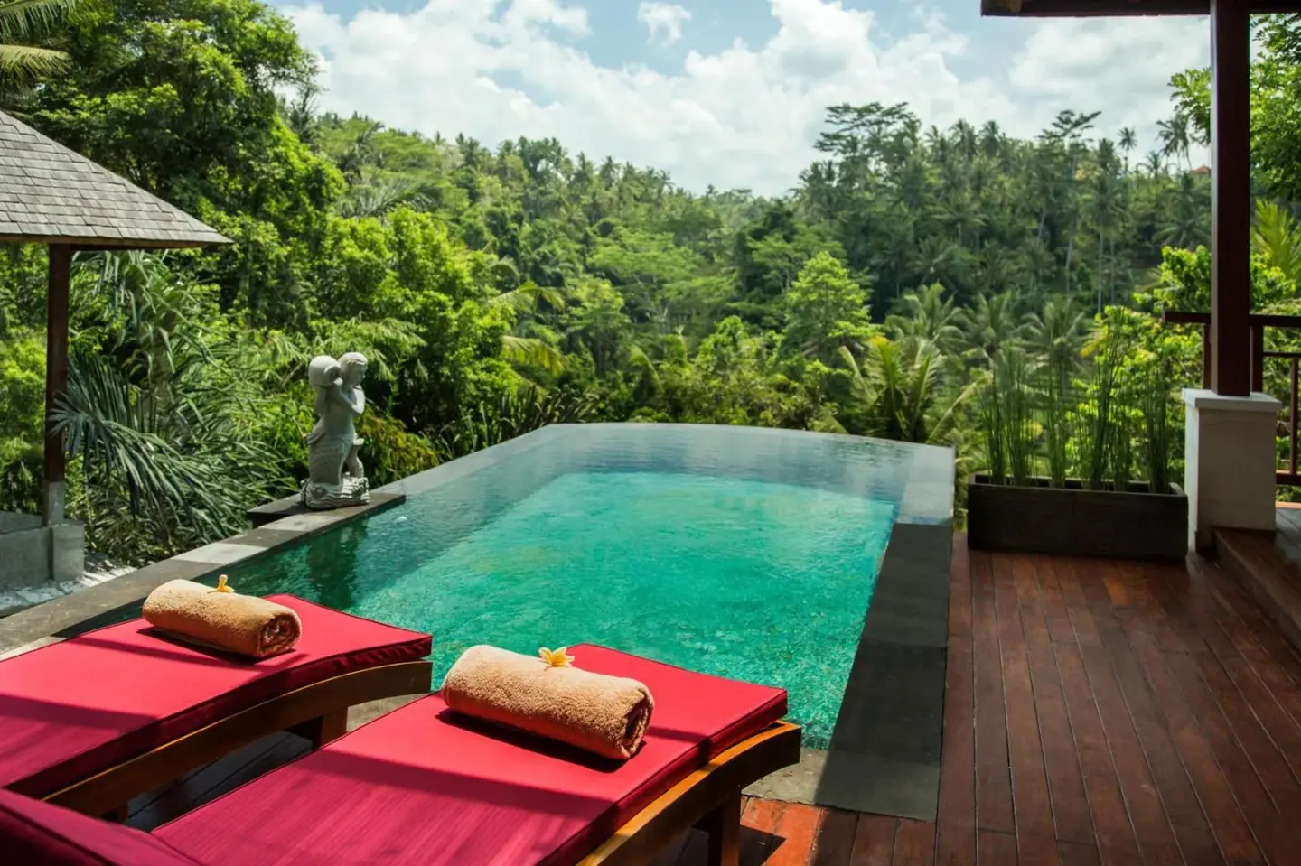 Infinity Pool