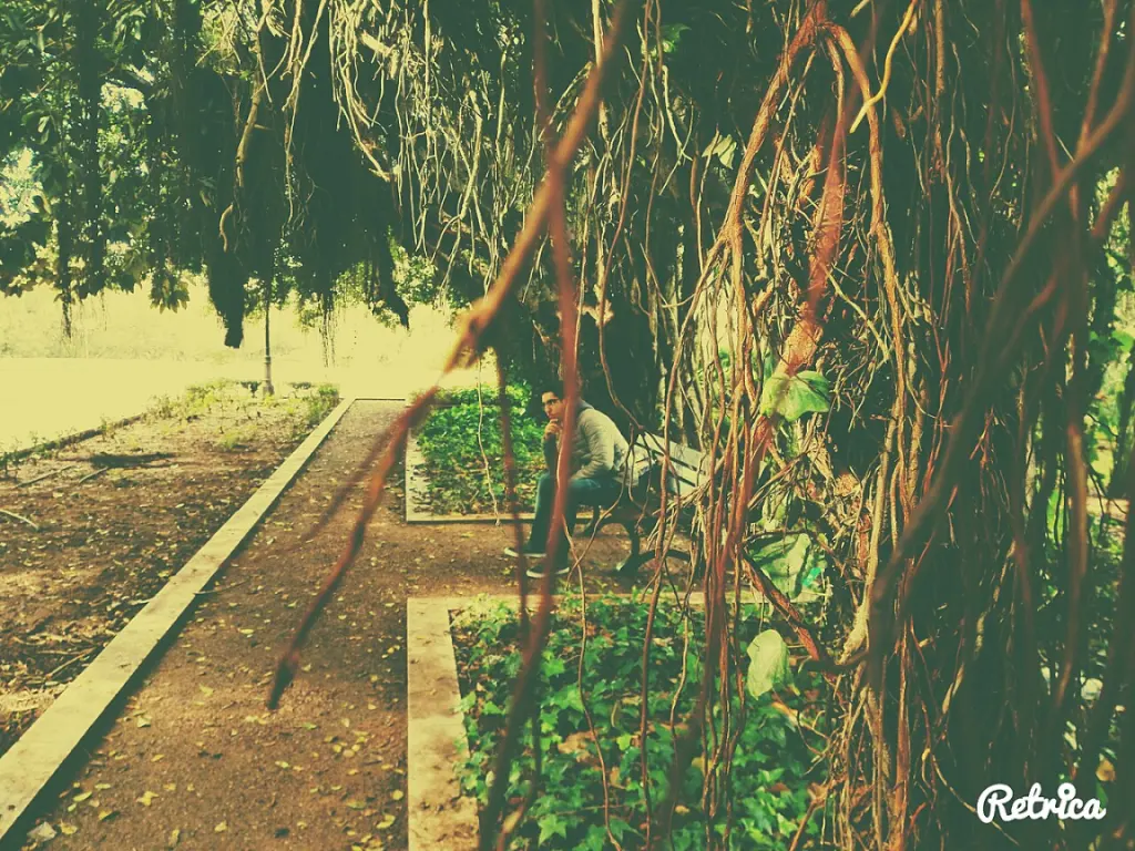 Jardin d'Essais