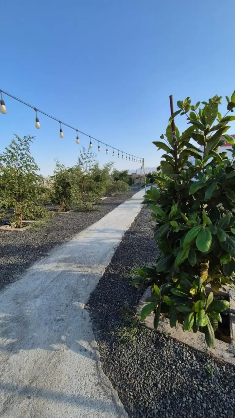 Scenic pathway with lights at Jory Hatta Resort.