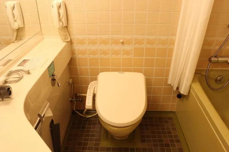 Toilet area in the bathroom at Kobe Portopia Hotel