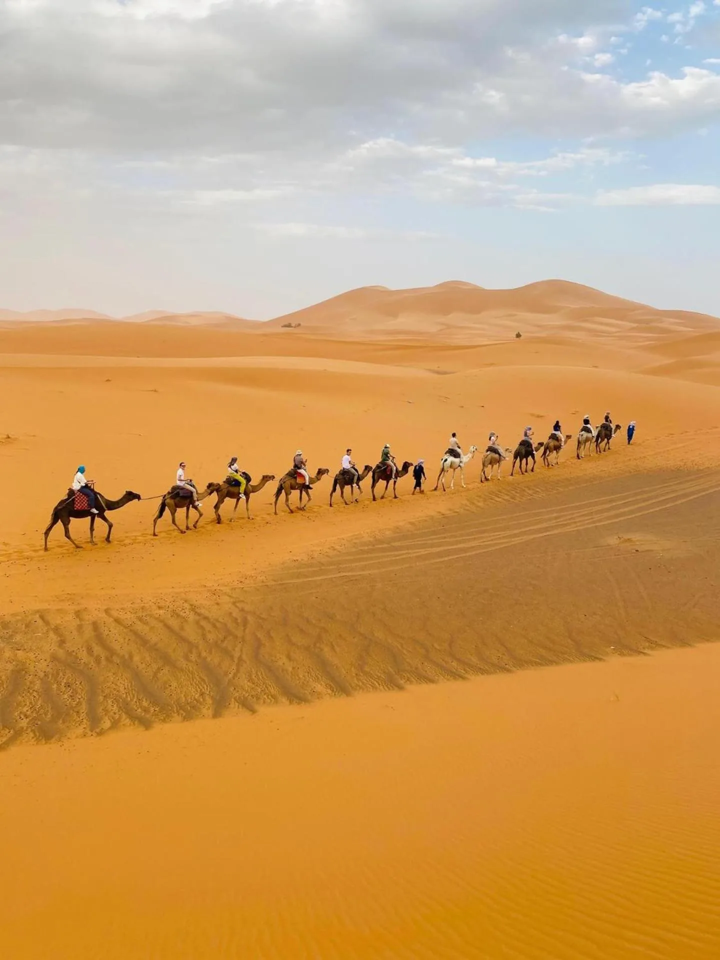Kamelkarawane, die die Dünen nahe dem Lana Camp Merzouga in Merzouga, Marokko, überquert.