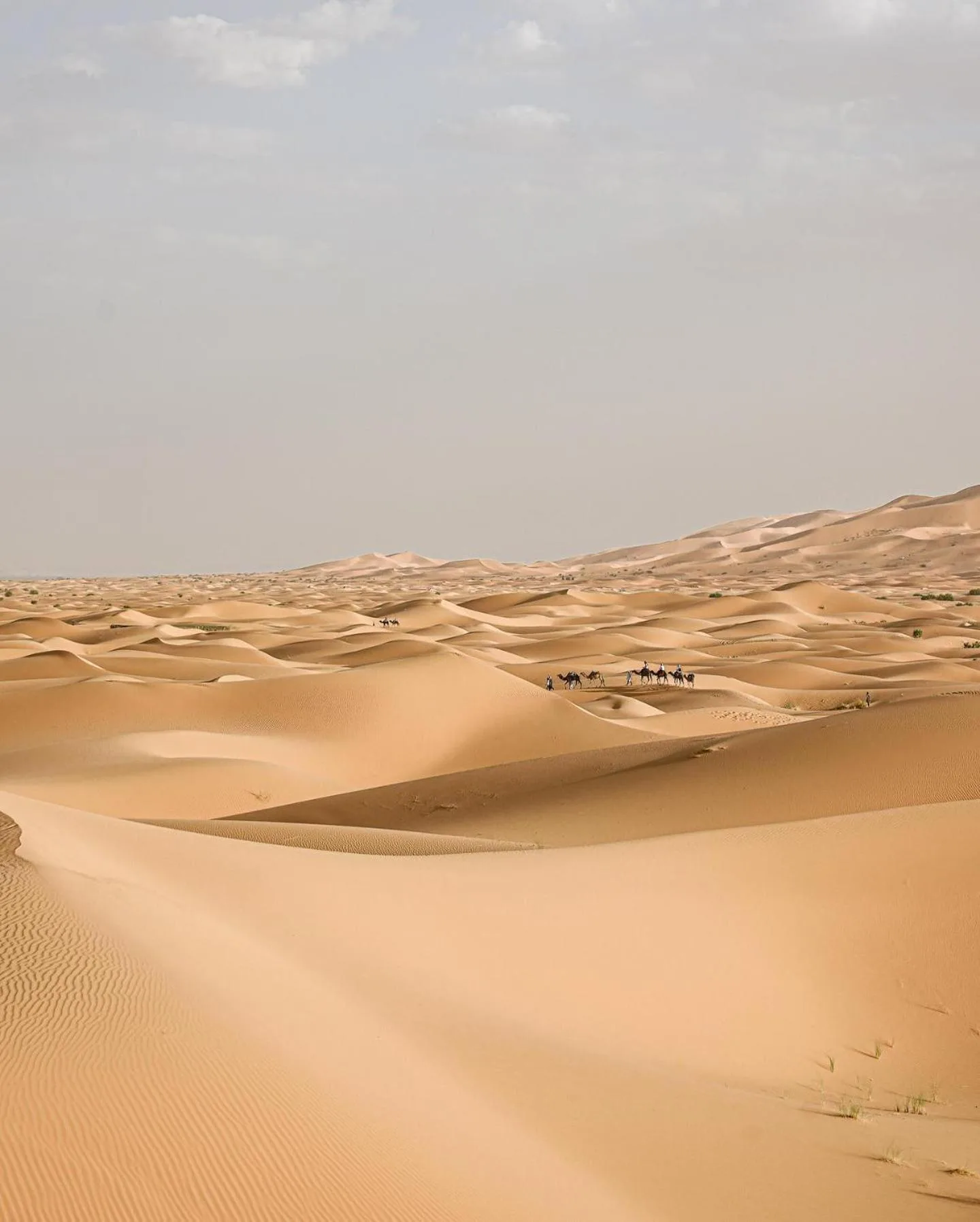 Weite Sicht auf die Sanddünen nahe dem Lana Camp Merzouga in Merzouga, Marokko.