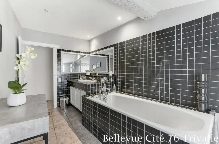 Les Bellevue Cité Trivalle "3 Apartments, 1 with Terrace & Private Parking, Aircon, WiFi, 500m from Cité, free public car park 200m", à Carcassonne