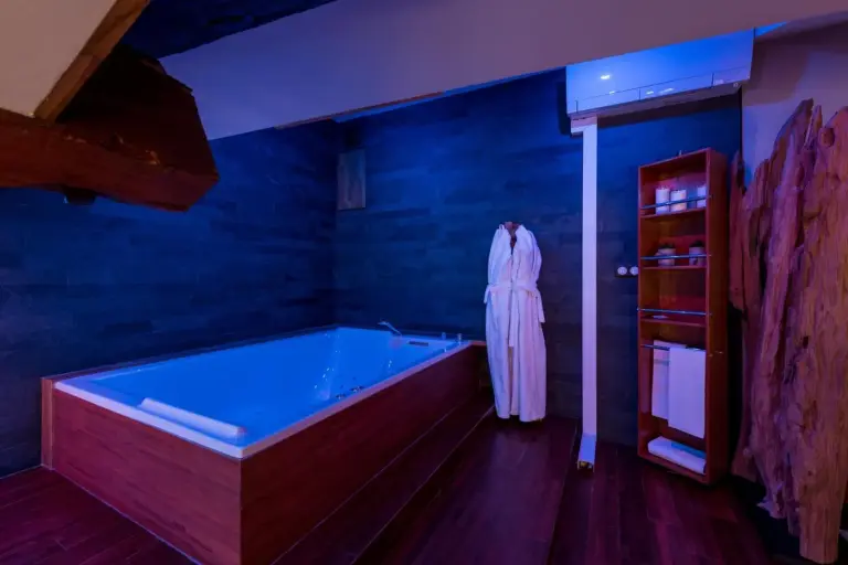 Relaxation area with jacuzzi in Les suites sainte claire in Annecy
