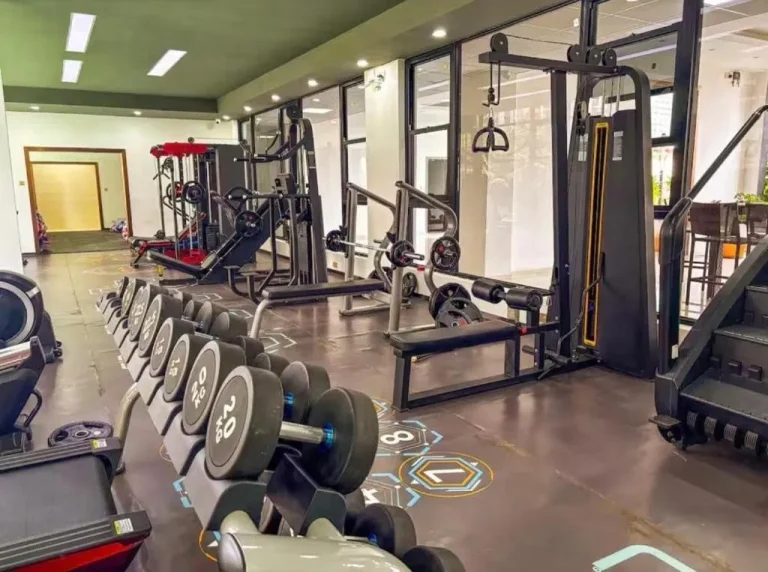 Luxury 1 Bedroom en Misty Springs en área GTC, Nairobi - Gimnasio