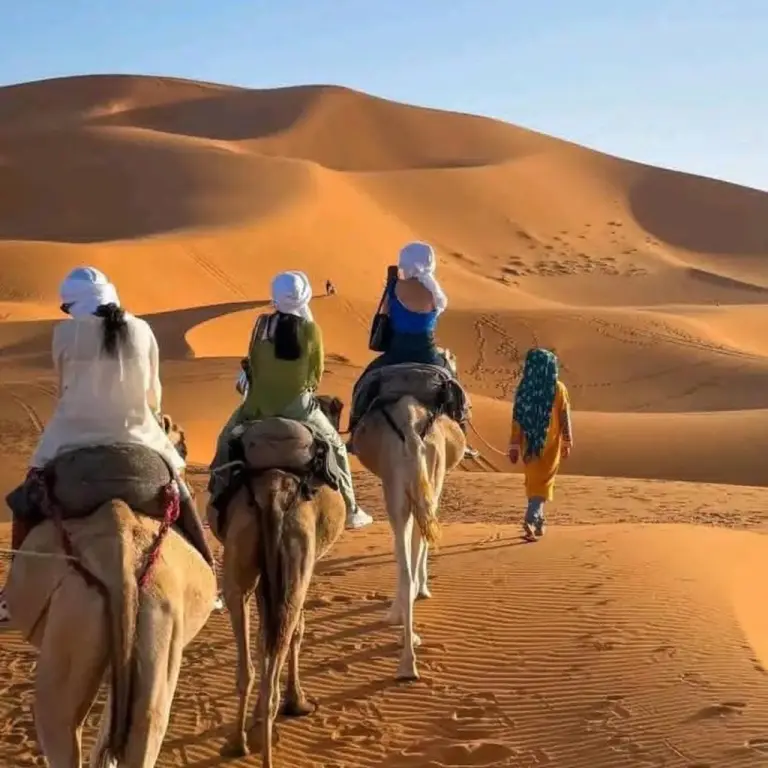 Guests riding camels across the desert near Luxury Camp View in Merzouga
