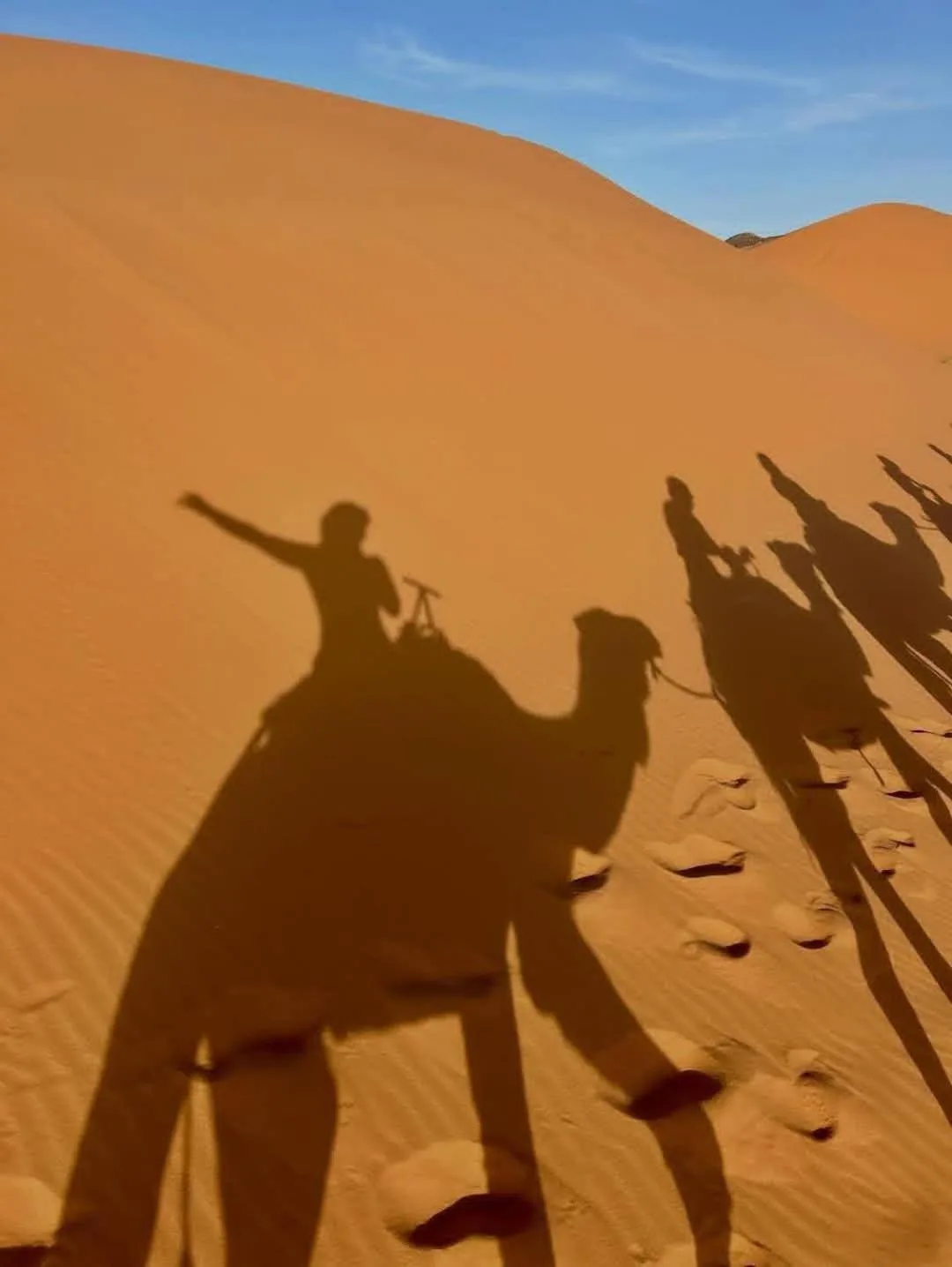 Camel shadows cast across the sand dunes at Luxury Camp View in Merzouga
