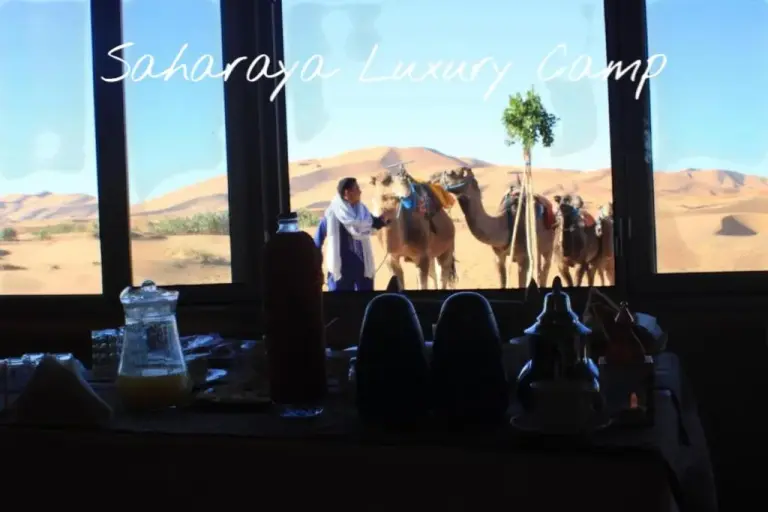 Blick auf Kamele vom Saharaya Luxury Camp in Merzouga