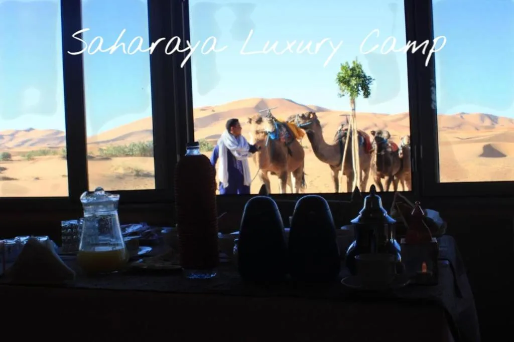 Blick auf Kamele vom Saharaya Luxury Camp in Merzouga