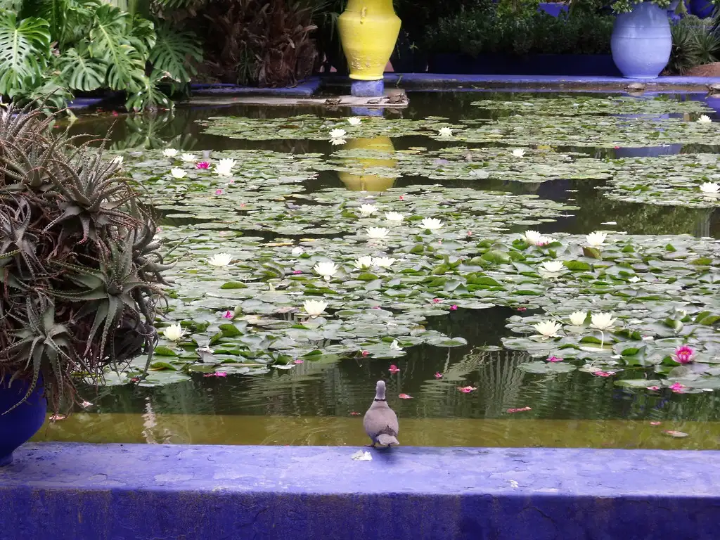 Majorelle Garden