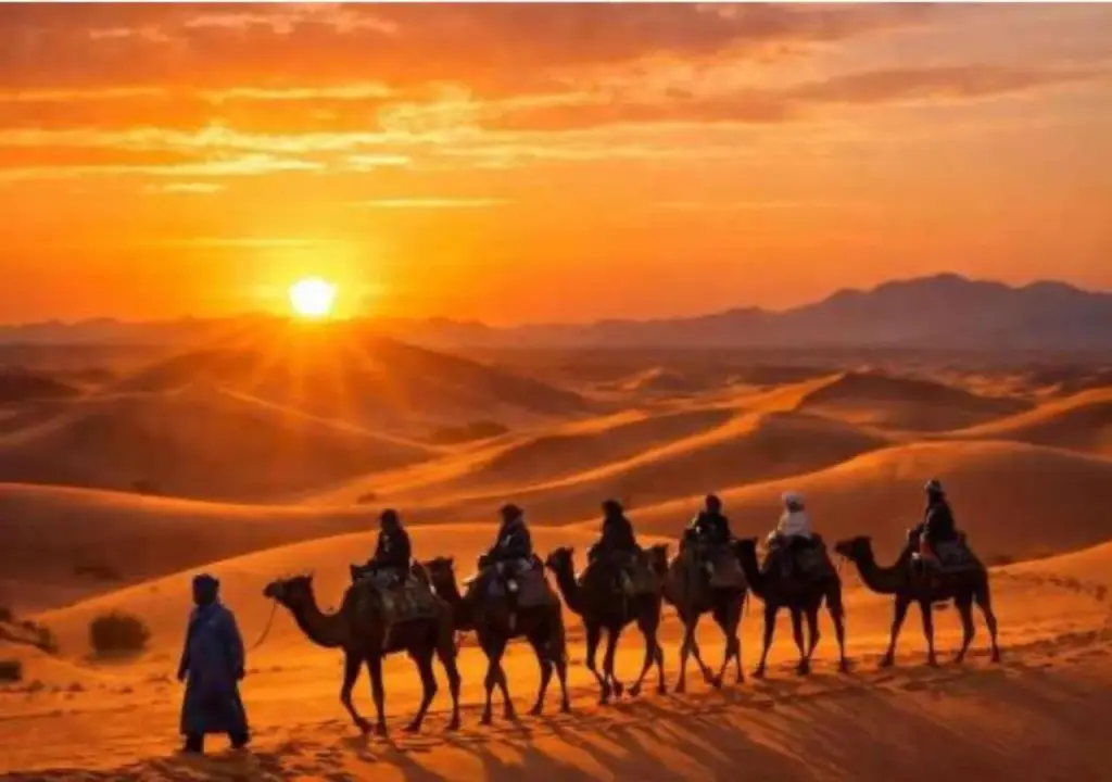 Merzouga Luxe Desert Camp