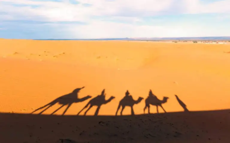 Sombras de camellos sobre las dunas del Sáhara cerca del campamento en Merzouga Luxurious Camp en Merzouga, Marruecos