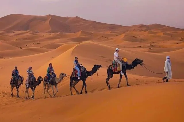 Merzouga Luxury Dunes Camp, à Merzouga
