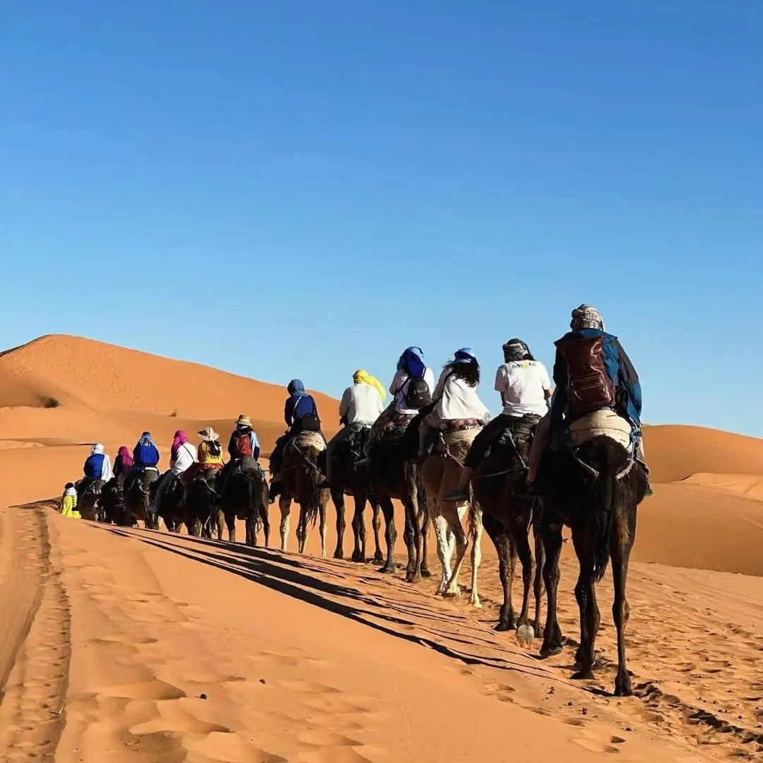 Grupo de huéspedes en la caravana de camellos en Merzouga Stars Luxury Camp